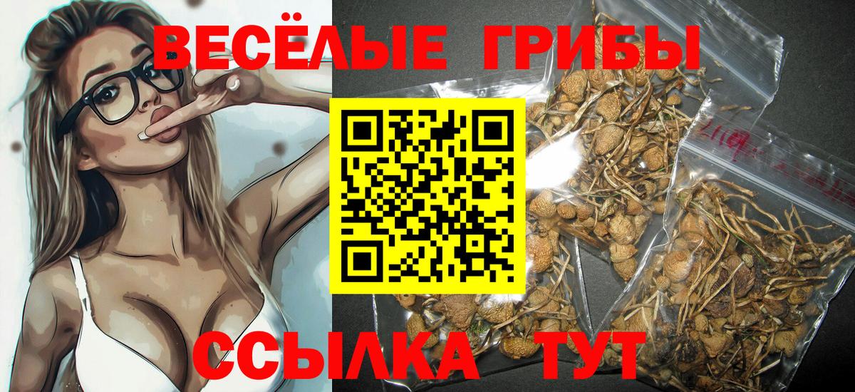 Галлюциногенные грибы Magic Shrooms  Псилоцибиновые грибы Psilocybe  Клин  Вход с VPN 