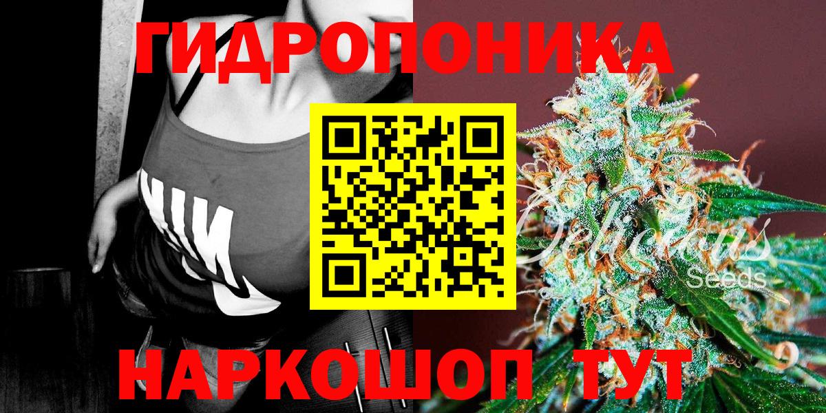 Бошки марихуана ГИДРОПОН Клин